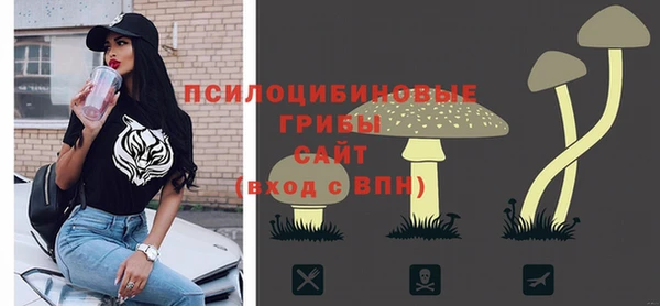 спиды Лабытнанги