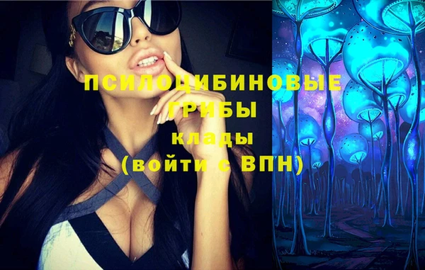 дживик Ладушкин