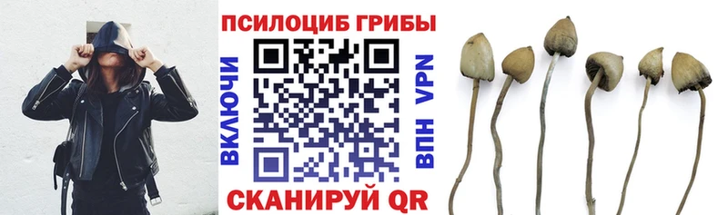 Псилоцибиновые грибы Cubensis  MEGA ссылка  Горячеводский 